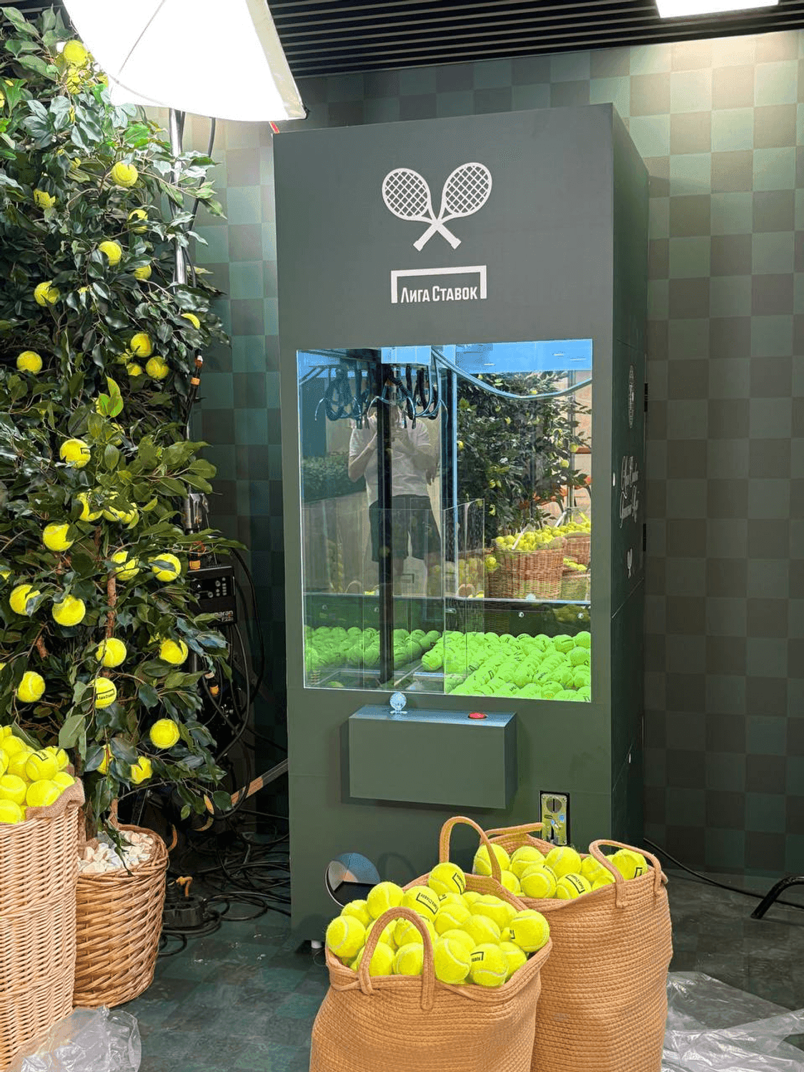 Фотография 7